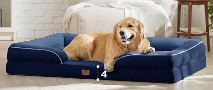 Happy large dog resting peacefully on orthopedic bed with soft bolsters
