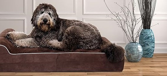 Content dog resting peacefully on an orthopedic bed with a warm blanket