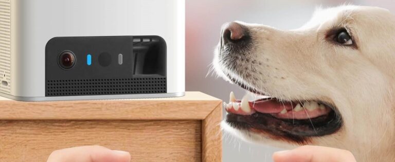 Petcube Cam – Full Review of the Smart Wi-Fi Pet Camera (2025) | FetchyFriends