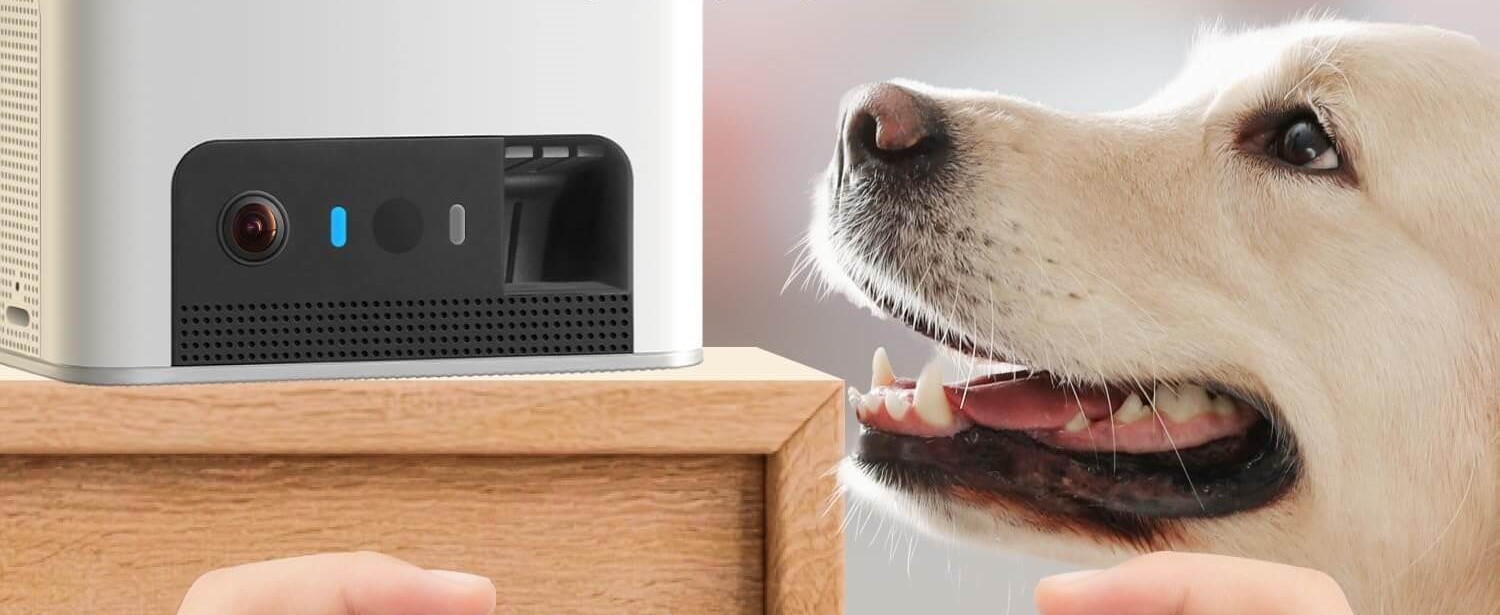 Pet parent watching live video of their dog through the Petcube Cam on a smartphone