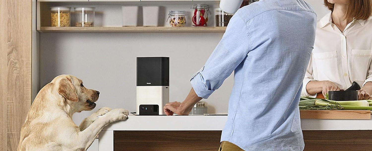 Pet parent interacting with their pet through the Petcube Bites 2 camera on a smartphone