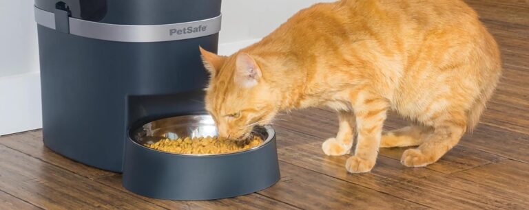 PetSafe Smart Feed 2nd Generation – Wi-Fi Automatic Pet Feeder | FetchyFriends