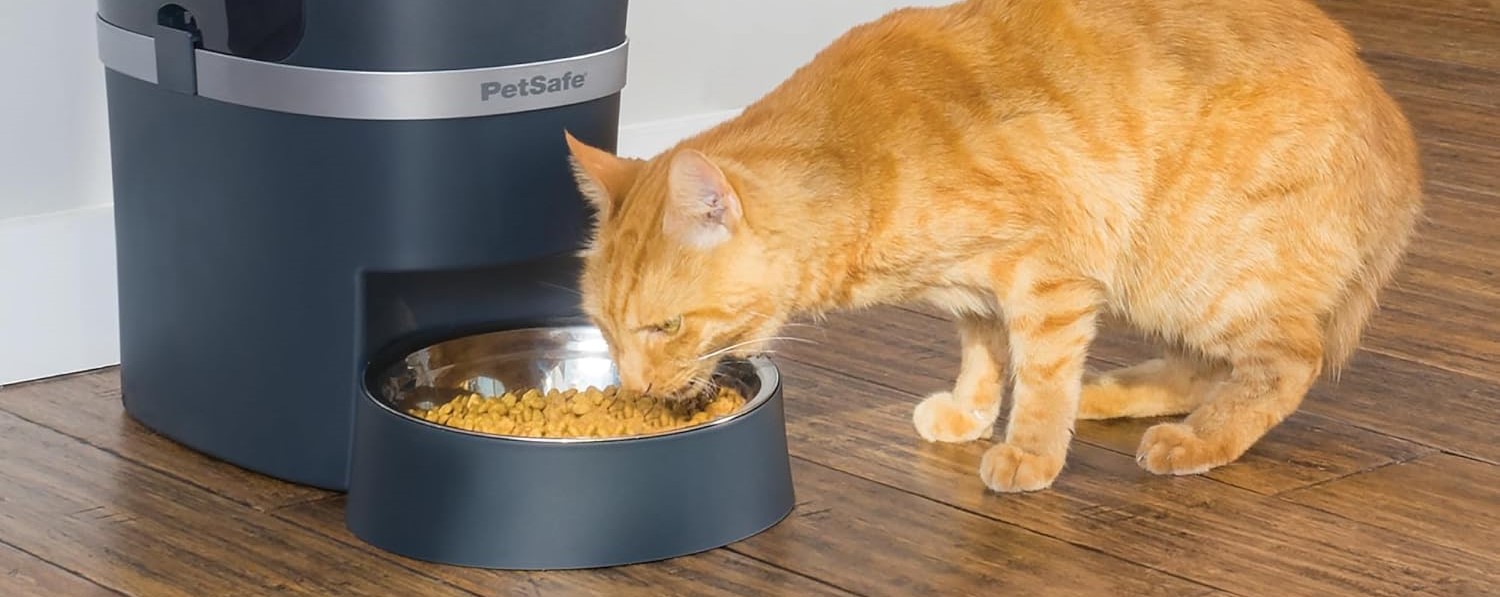 Pet parent managing their pet's feeding schedule remotely with the PetSafe Smart Feed app on a smartphone