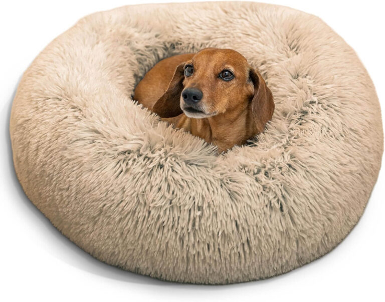 Best Friends by Sheri Donut Dog Bed – Full Review for Cozy, Anxious Pups | FetchyFriends