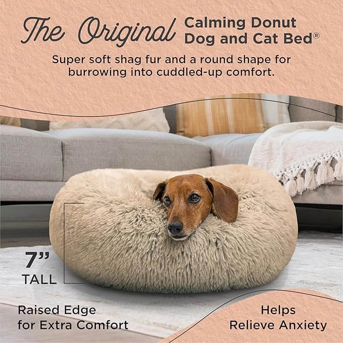 Small dog relaxing in a donut-shaped calming bed with plush raised edges