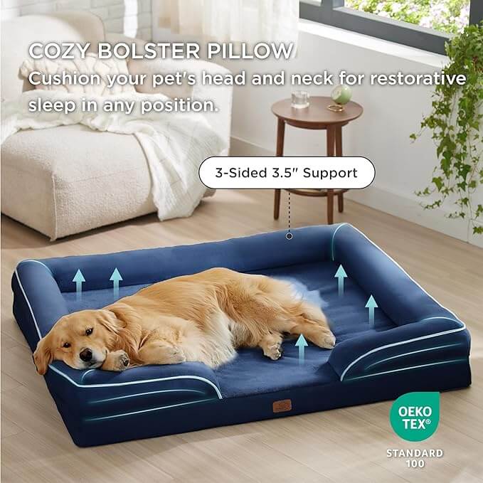Large dog relaxing on a navy orthopedic sofa-style bed in a modern home setting