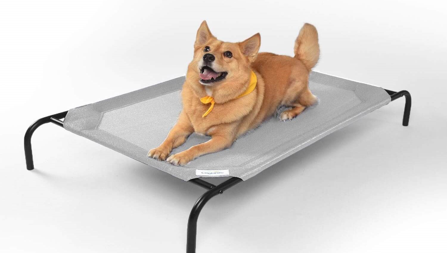 Dog lying on a Coolaroo elevated pet bed outdoors on a sunny patio