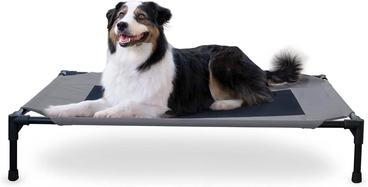 Large dog lying on the K&H Elevated Dog Cot in a backyard with mesh center and raised frame
