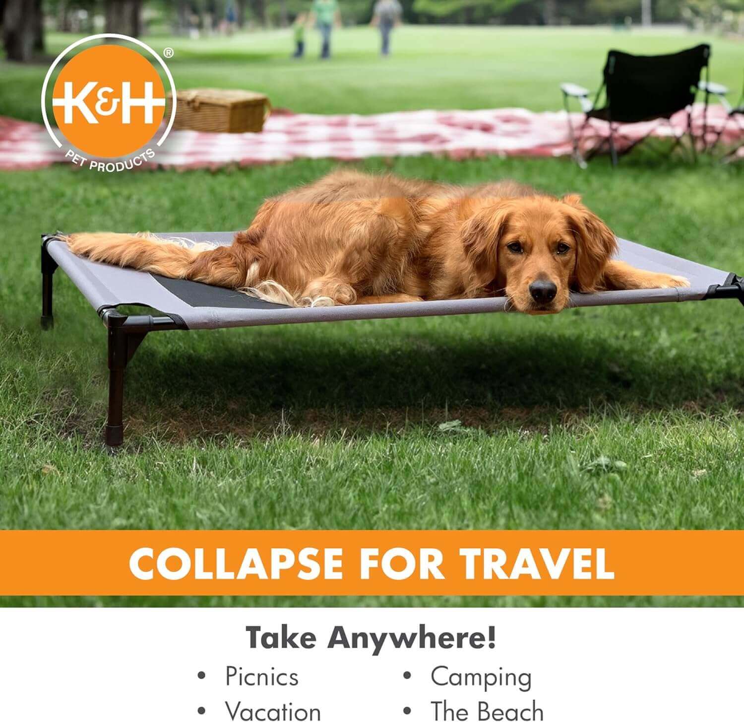 Golden retriever resting on K&H elevated dog cot at picnic setup