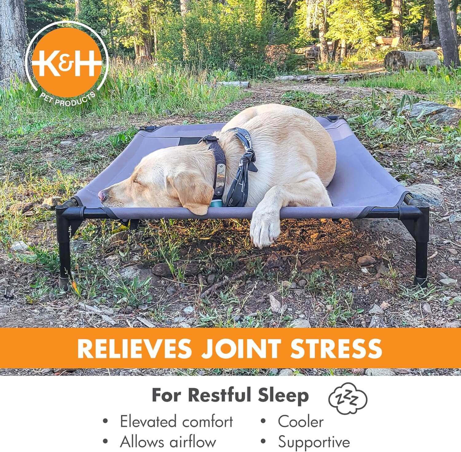 Yellow lab sleeping peacefully on elevated cooling cot in forest