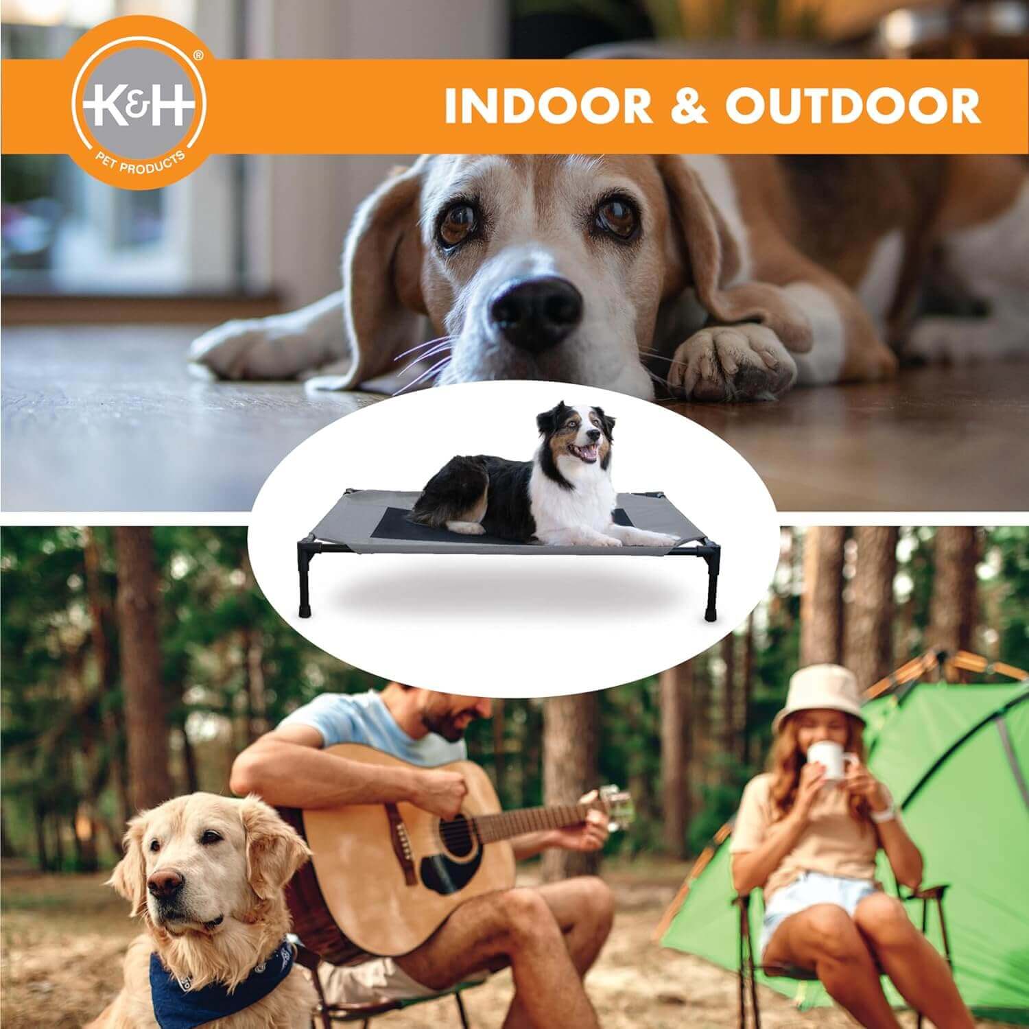 Dogs using the K&H elevated pet cot indoors and outdoors during family camping and relaxing moments