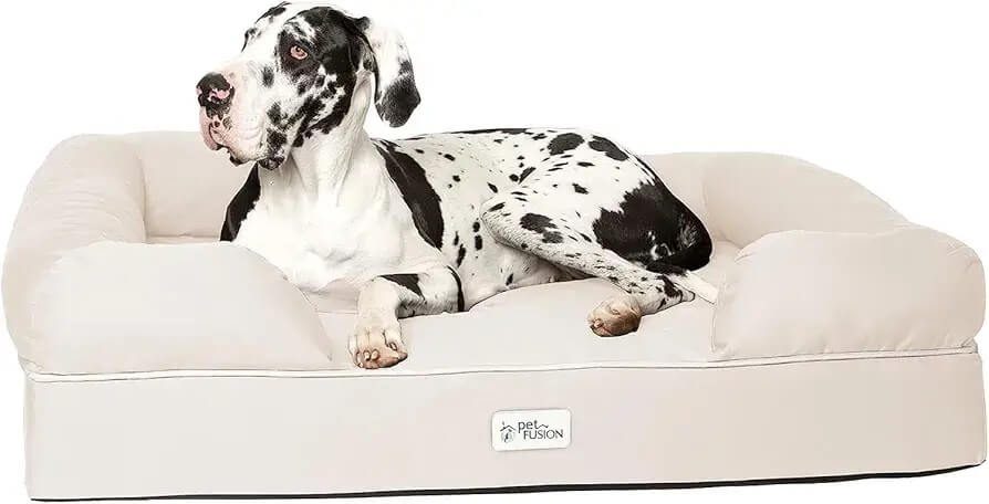 Large Labrador resting on the PetFusion Ultimate Dog Bed with memory foam support and water-resistant cover