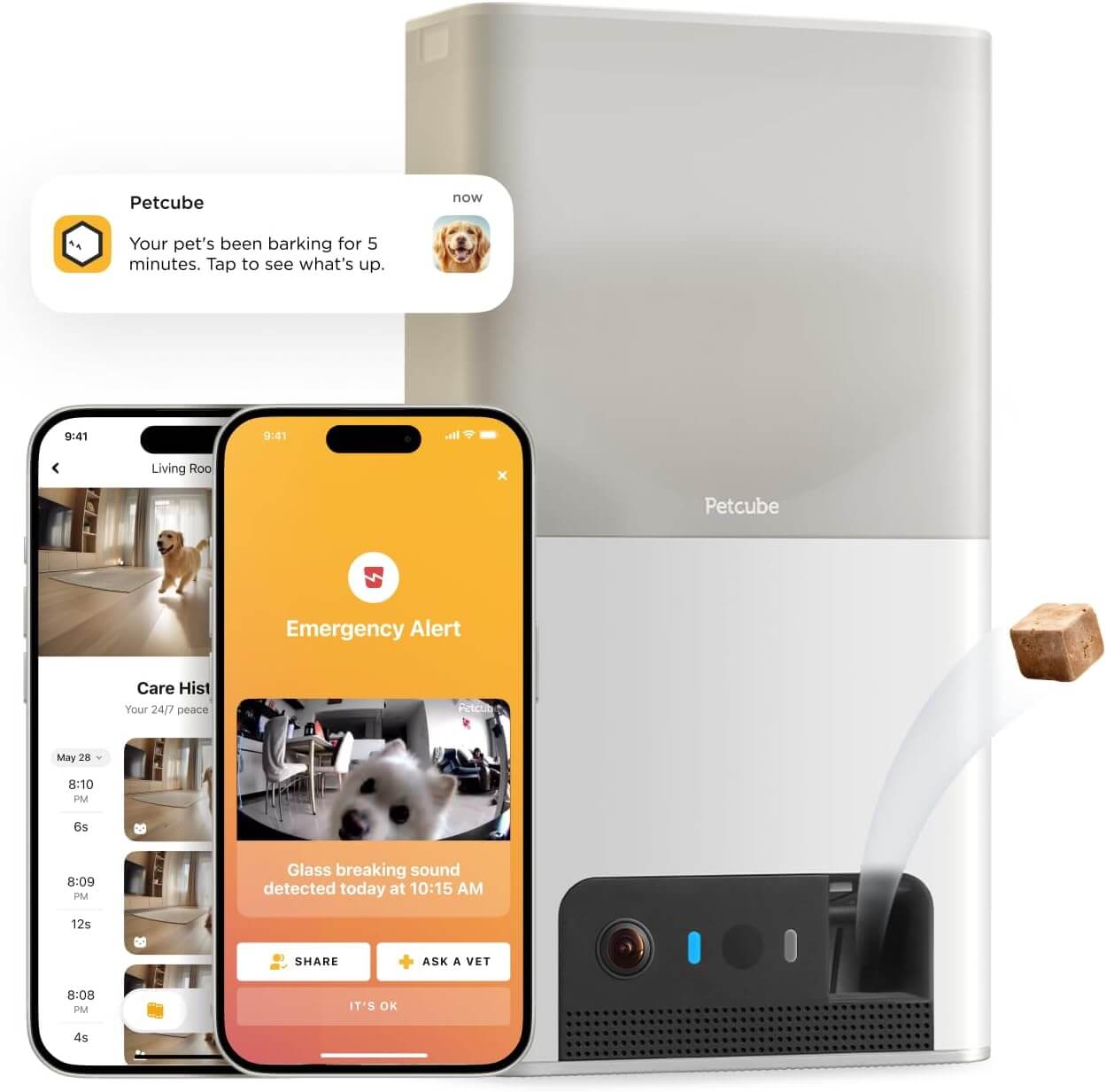 Pet parent monitoring their dog remotely using the Petcube Cam and mobile app