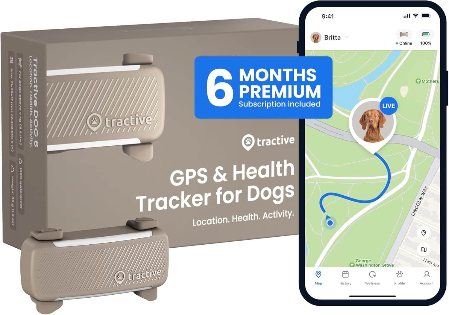 Dog wearing the Tractive GPS Tracker while exploring outdoors with real-time location tracking