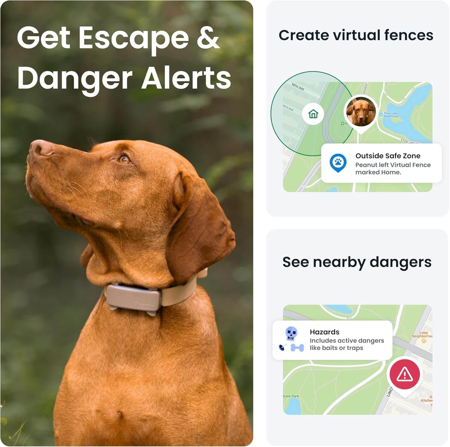 Dog wearing Tractive GPS Tracker receiving escape alerts and virtual fence notifications