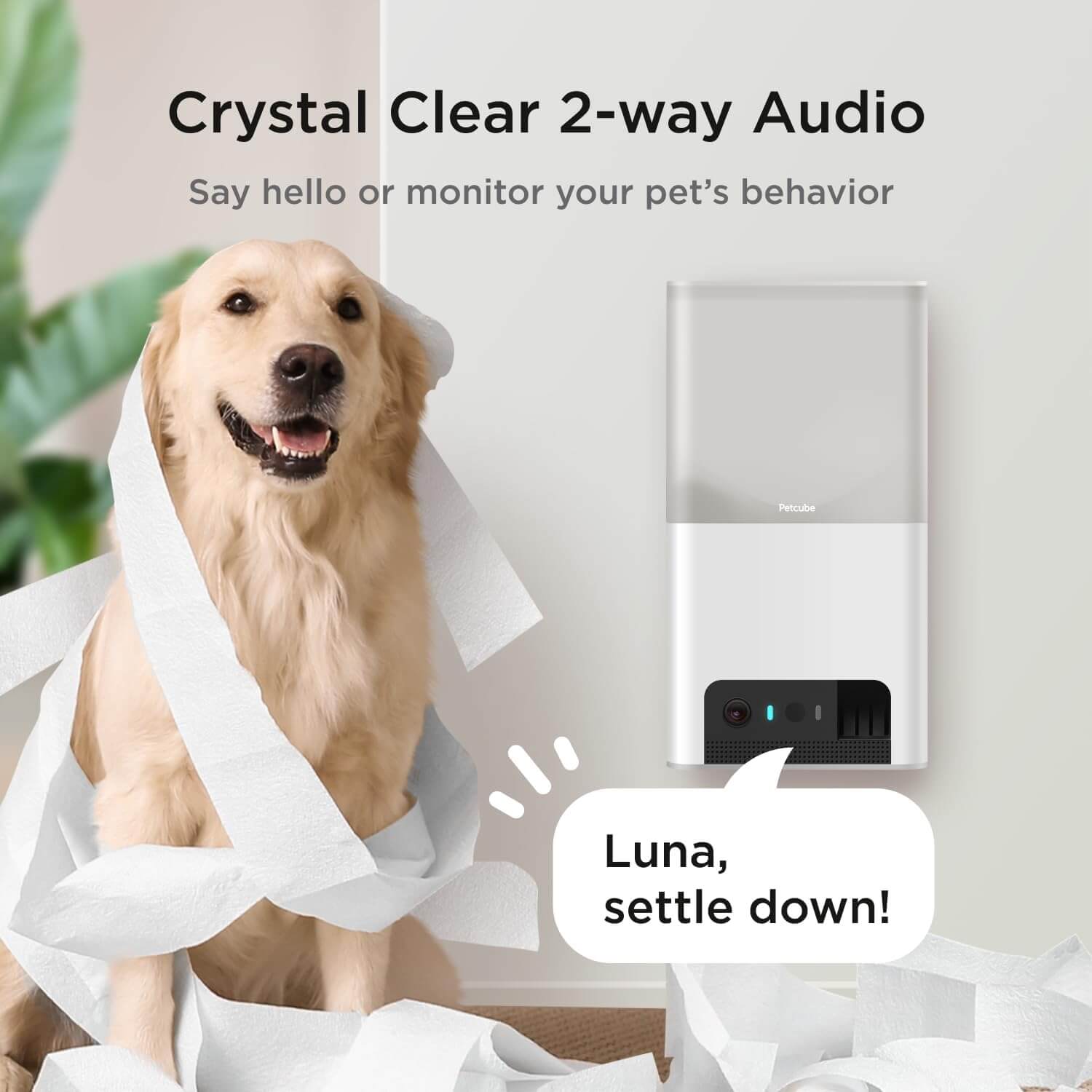Pet owner monitoring dog activity remotely with Petcube Cam smart alerts in 2025