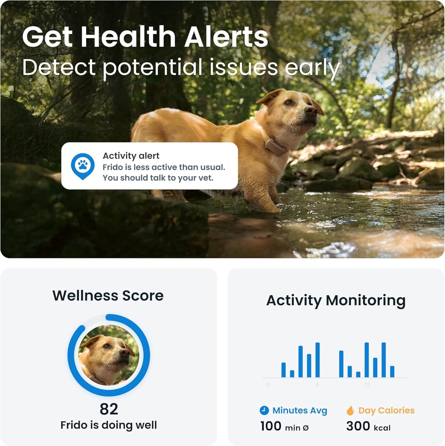 Tractive GPS Tracker providing health alerts and activity data for dogs in 2025