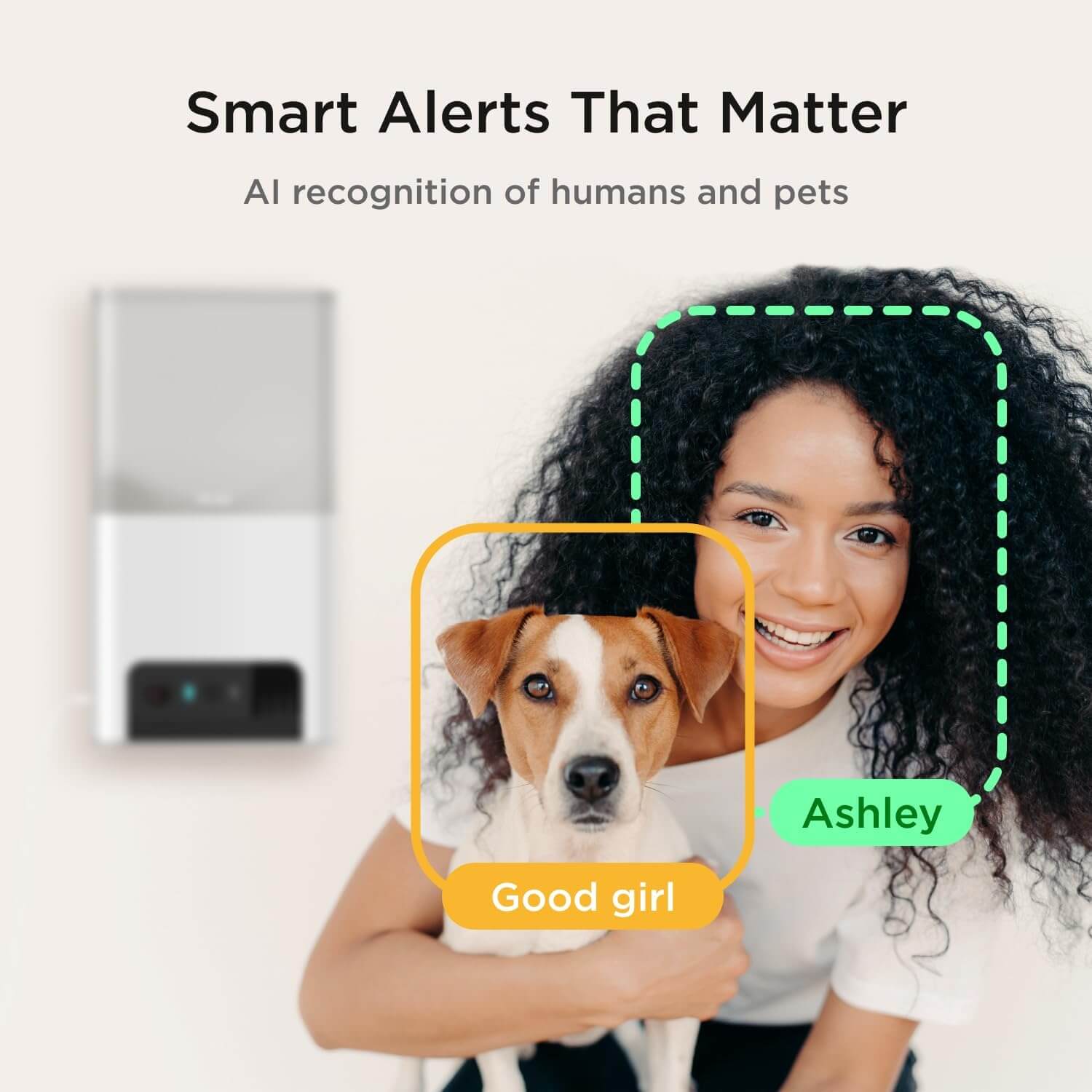 Petcube Cam AI alerts detecting human and pet activity in real time