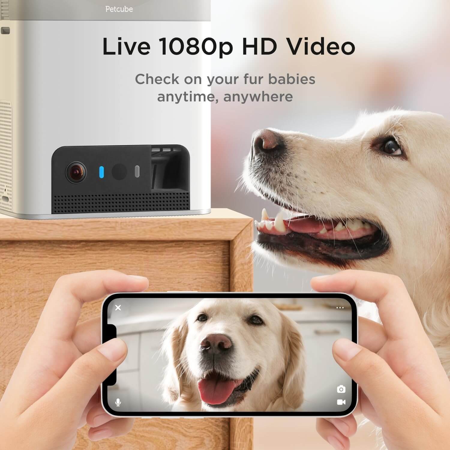Petcube Cam unboxed with power adapter, USB cable, and quick start guide