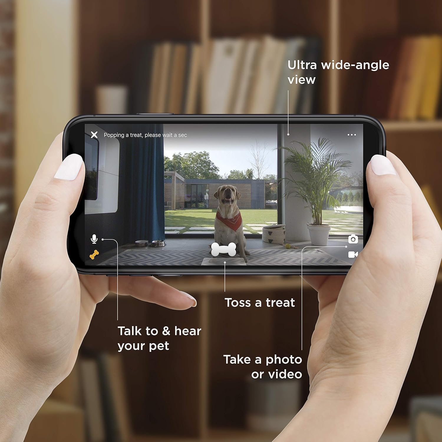 Owner watching their pet through the Petcube Bites 2 app on a smartphone