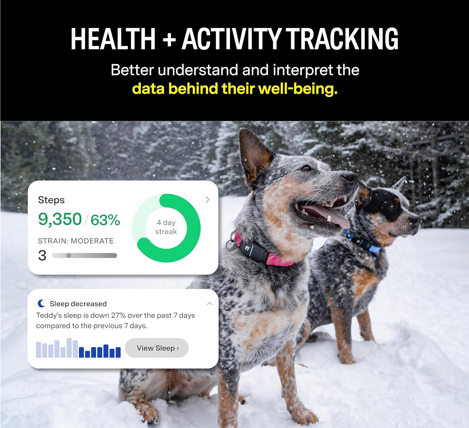 Owner monitoring their dog’s location and activity using the Fi Smart 3 Dog Collar app on a smartphone
