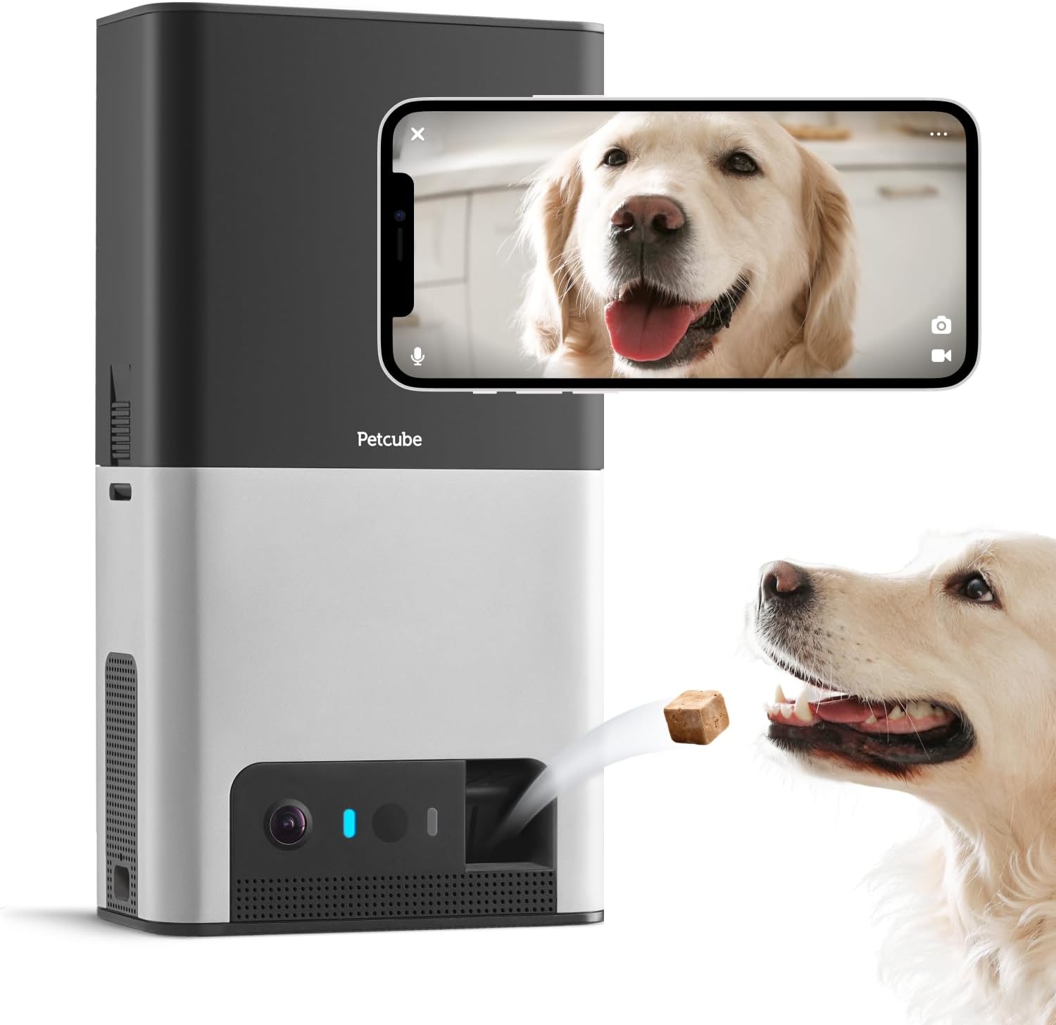Pet parent monitoring their dog remotely using the Petcube Bites 2 camera and mobile app