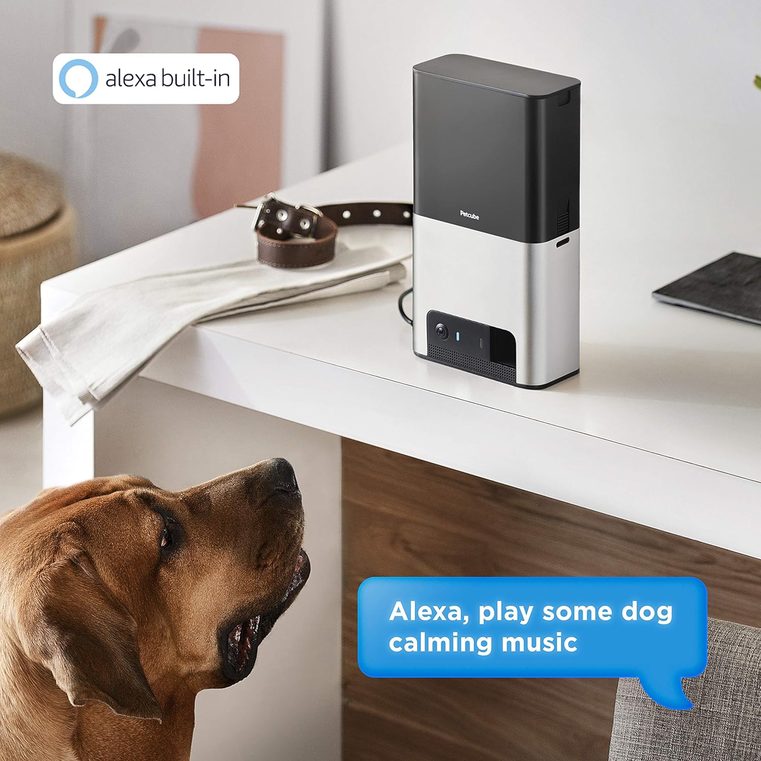 Owner watching their pet through the Petcube Bites 2 app on a smartphone
