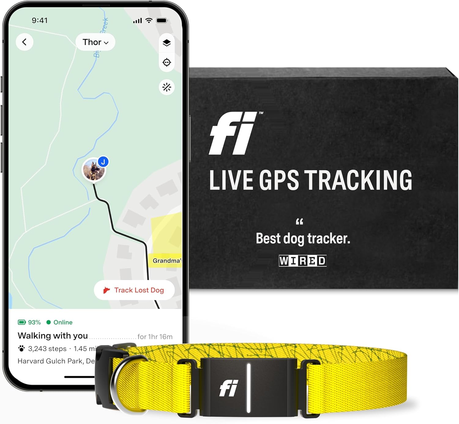Dog parent monitoring their dog’s location and activity using the Fi Smart 3 Dog Collar app on a smartphone