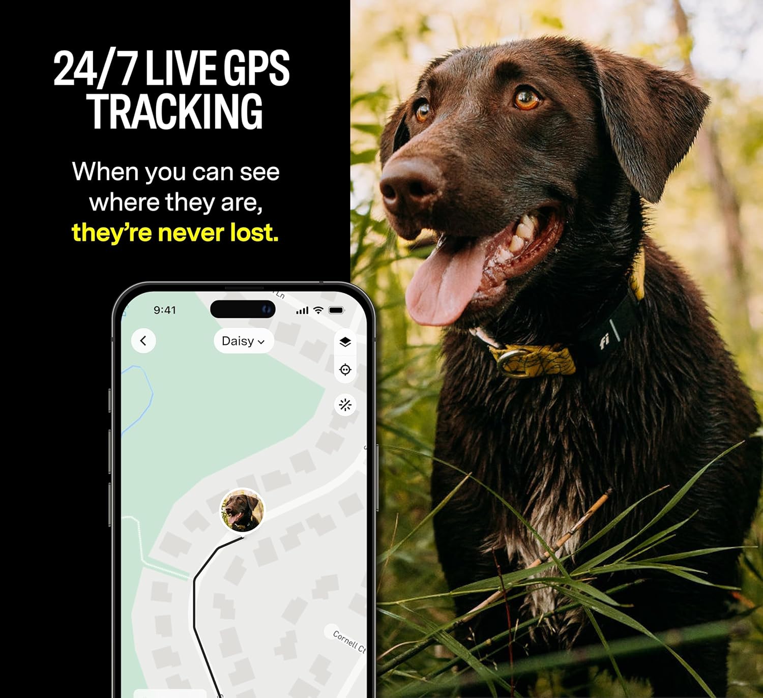 Dog parent monitoring their dog’s location and activity through the Fi Smart 3 Dog Collar app on a smartphone