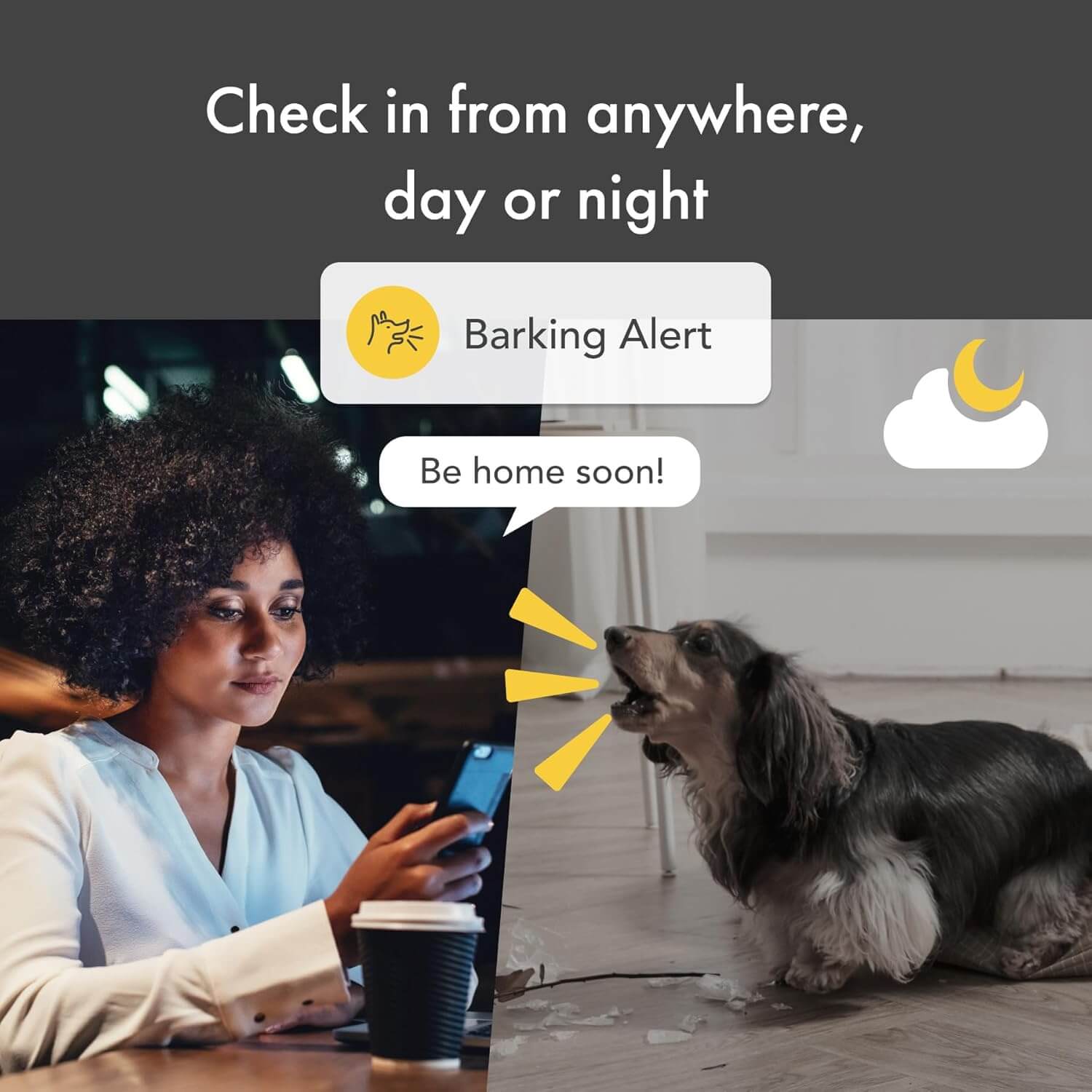 Dog parent watching live feed from the Furbo 360 Dog Camera on a mobile app