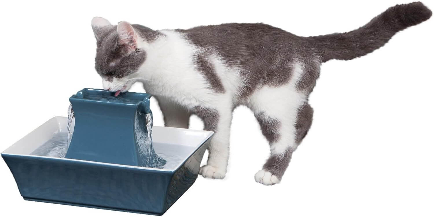 PetSafe Drinkwell Pagoda – Ceramic pet fountain with dual streams for fresh water
