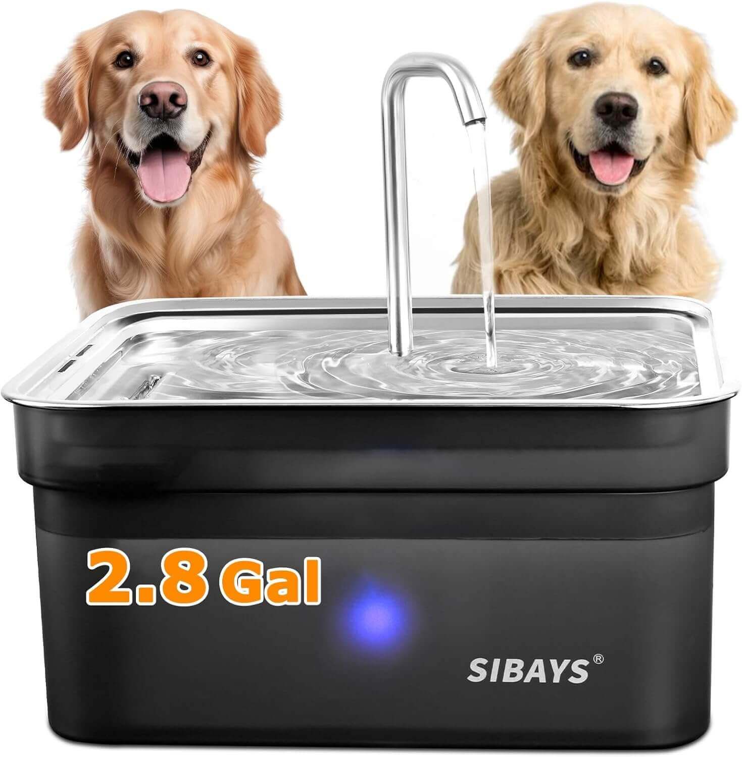Sibays Dog Water Fountain – Automatic Stainless Steel Pet Fountain for Clean Hydration