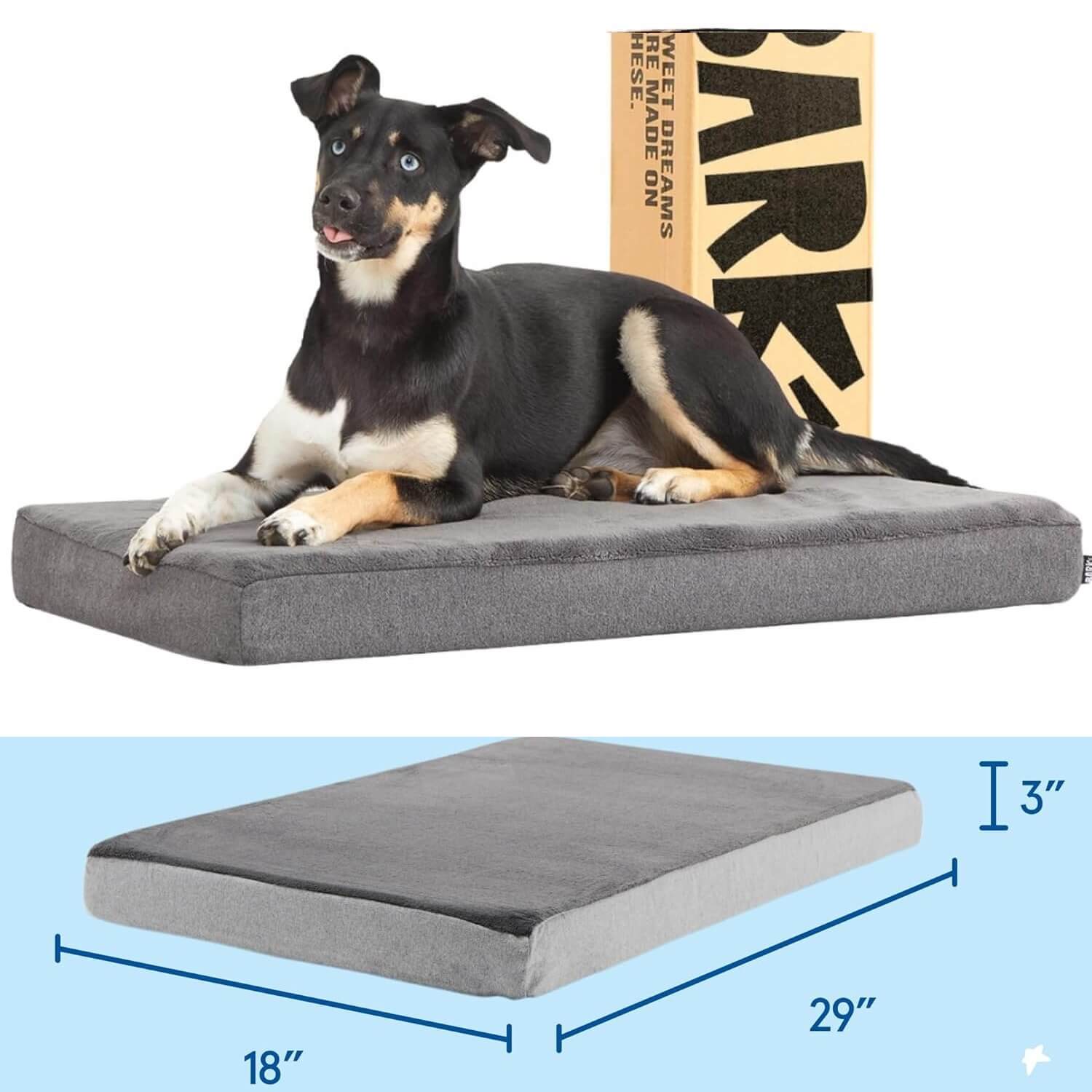 best indoor dog beds – BarkBox Memory Foam Platform Dog Bed