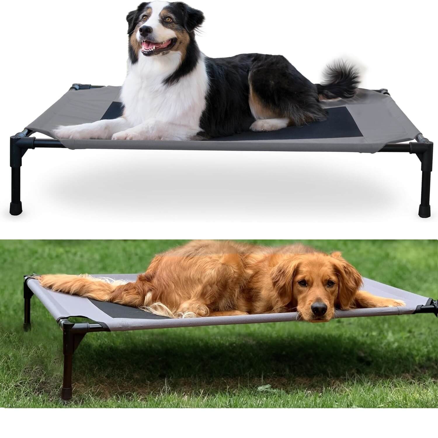 best elevated outdoor dog bed – K&H Original Pet Cot with mesh center