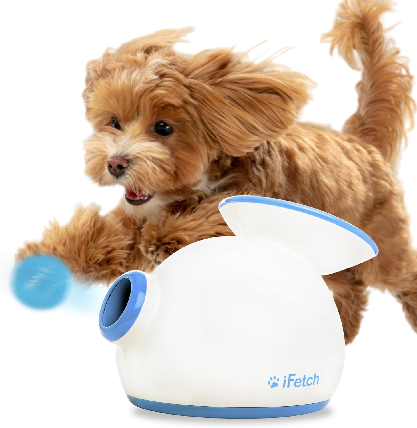 iFetch Ball Launcher for Dogs in action