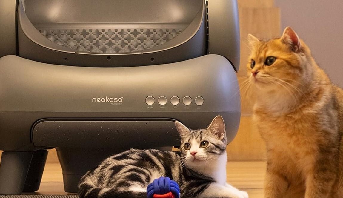 Best automatic litter box for cats in 2025 – quiet, self-cleaning and smart
