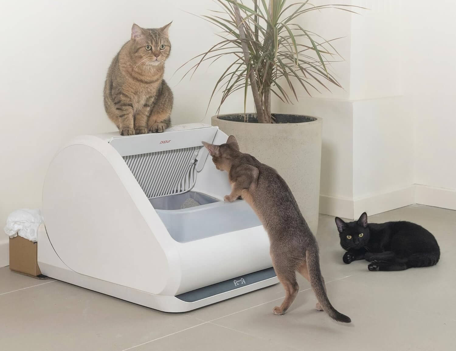 Buying guide for automatic self-cleaning litter boxes for cats