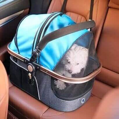 Buying guide for pet strollers for large and senior dogs