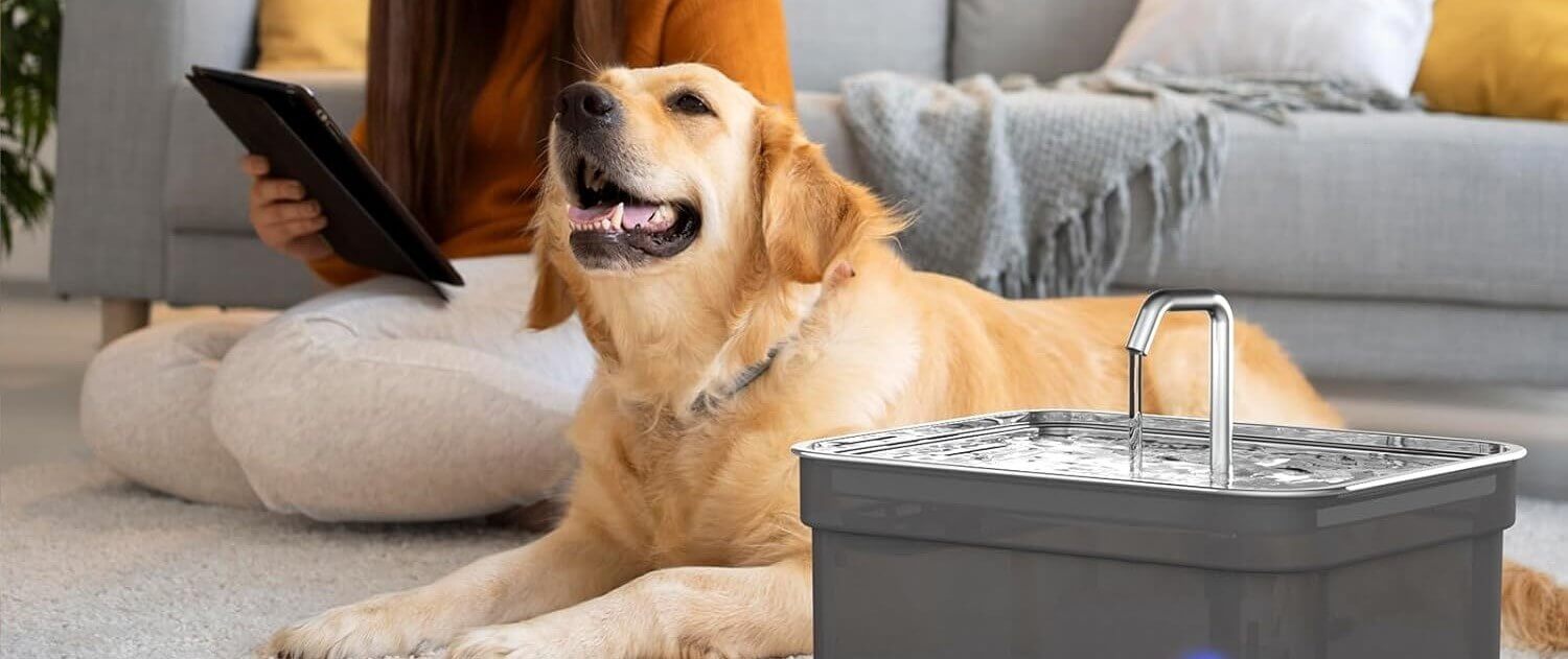 Best dog water fountains for filtered hydration in 2025