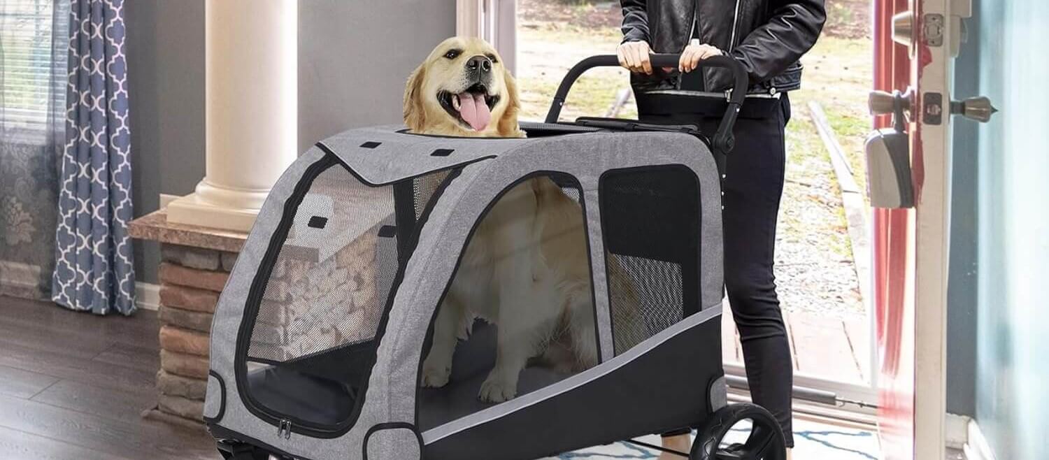 Extra large dog stroller with golden retriever inside being pushed at home entrance
