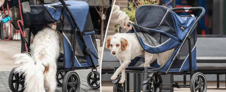 Denver On-The-Go Pet Stroller Review (2025) – Lightweight & Easy for Travel| FetchyFriends