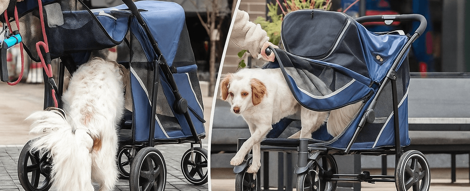 Best pet strollers 2025 – woman pushing her dog in a stroller through the park