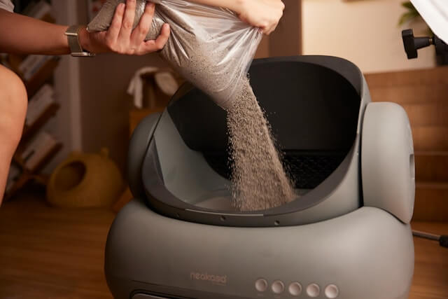 Final tips for buying the best self-cleaning litter box for cats