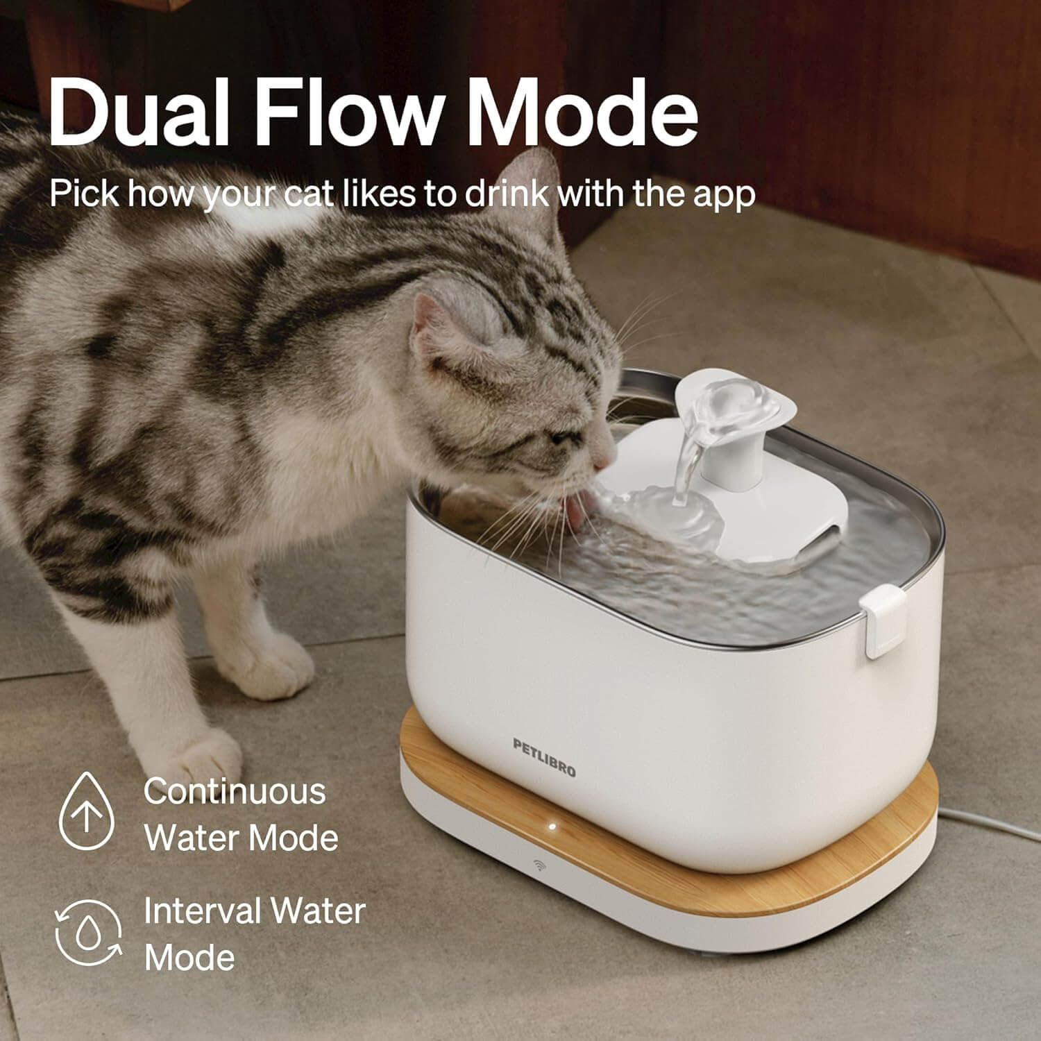 PETLIBRO Cat Water Fountain functioning with circulating filtered water stream