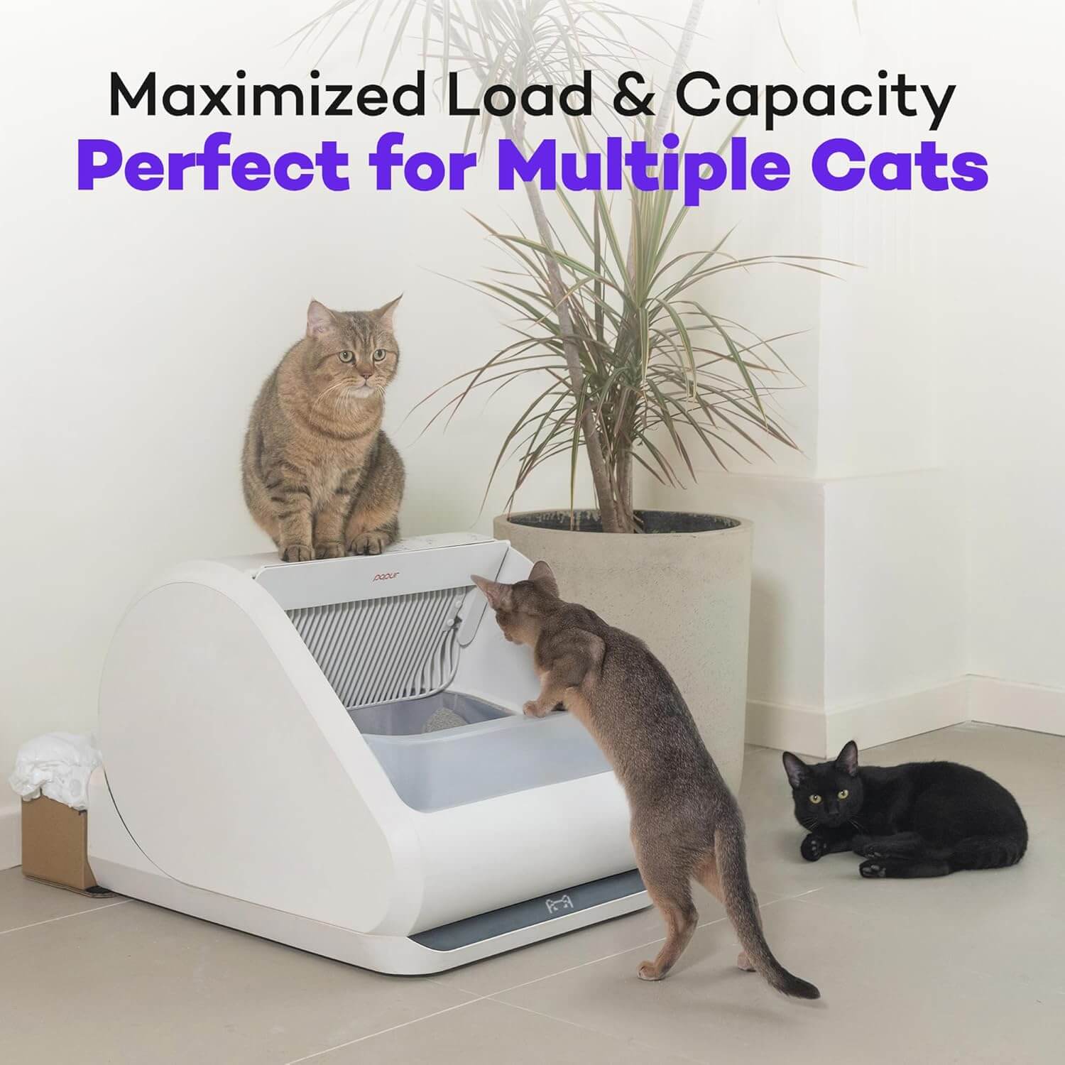Popur X5 Litter Box showing open-top self-cleaning system and sealed waste compartment