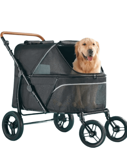 Large dog stroller with golden retriever sitting comfortably inside on teal background
