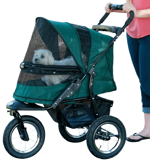 Pet Gear Jogger Stroller with small white dog sitting inside and mesh canopy