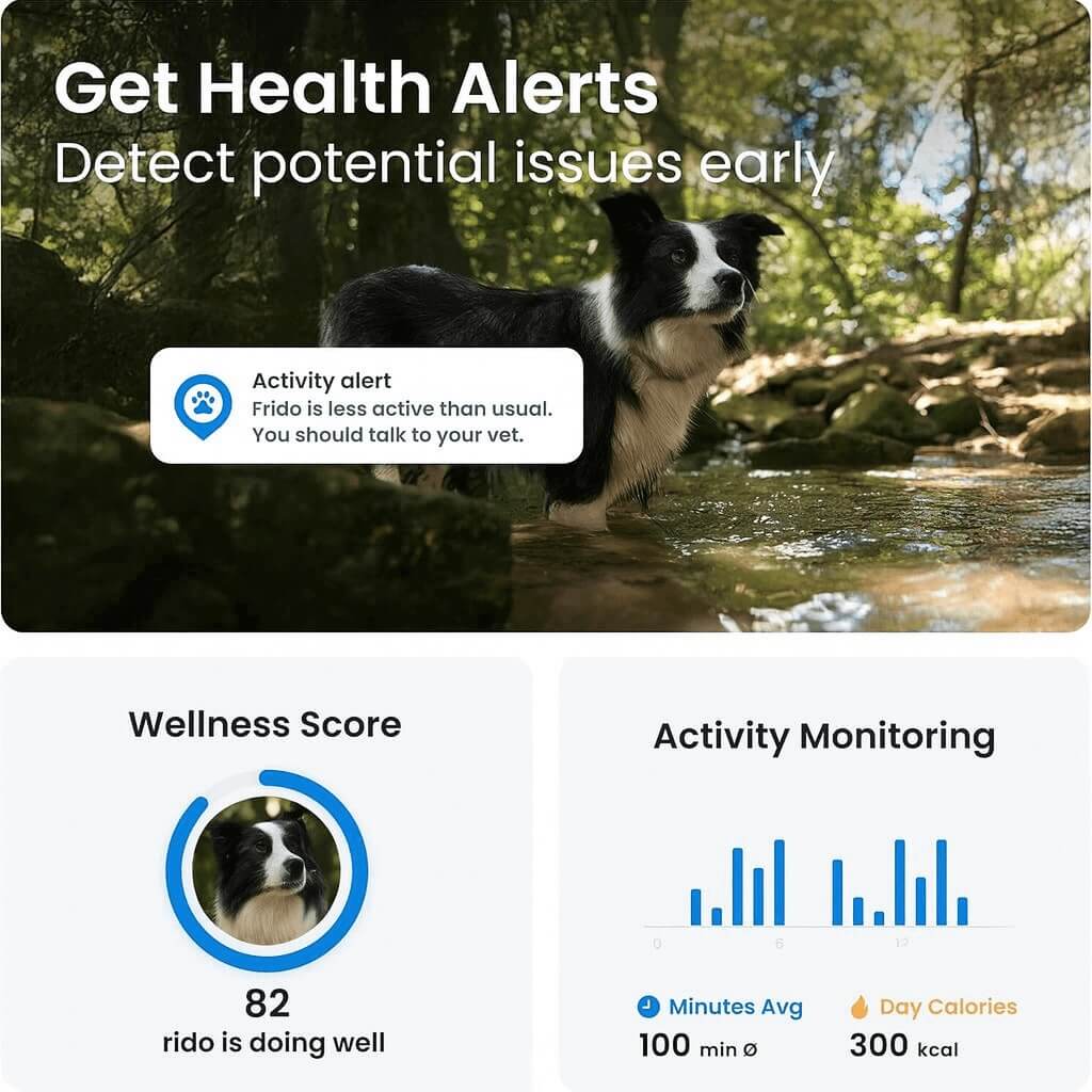 Health alerts and activity tracking with Tractive GPS for dogs
