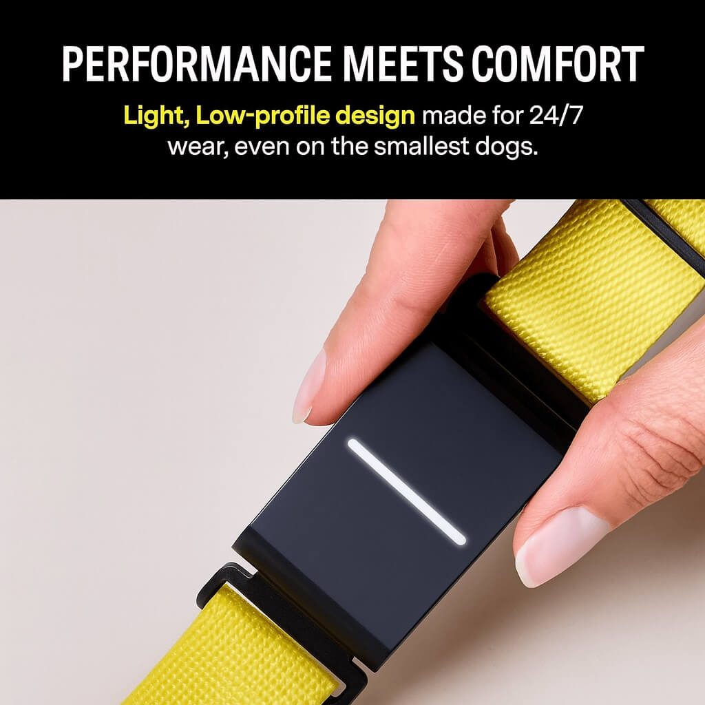 Close-up of Fi Smart 3 Dog Collar in hand, showing sleek black and yellow design with smart features