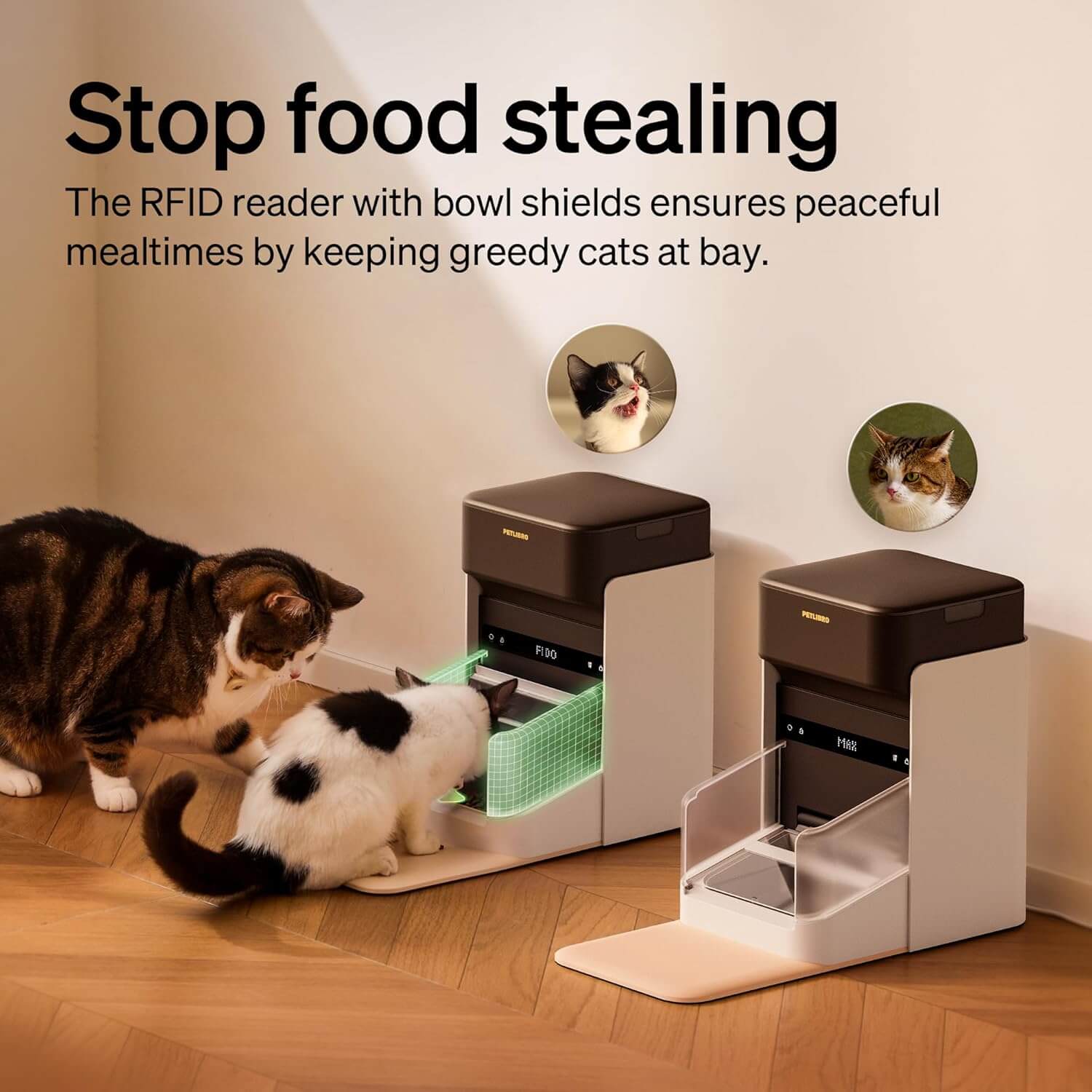 Two smart PETLIBRO RFID feeders preventing food stealing between cats with bowl shields and tag detection